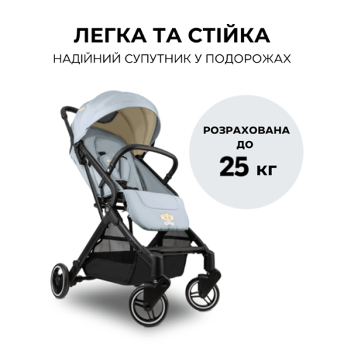 Прогулочная коляска Hauck Travel N Care Simba