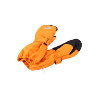 Рукавицы Reima OTE 527169-2710